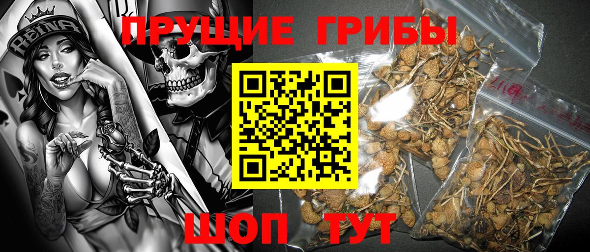 Шахты  Галлюциногенные грибы Magic Shrooms  Вход с VPN  Галлюциногенные грибы MAGIC MUSHROOMS 