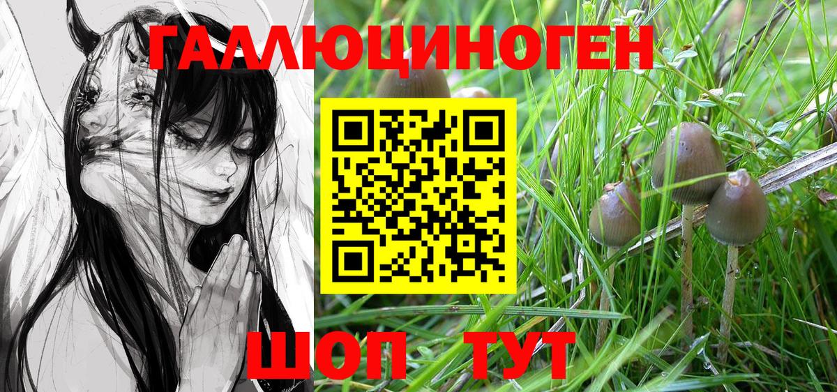 Галлюциногенные грибы Magic Shrooms Шахты